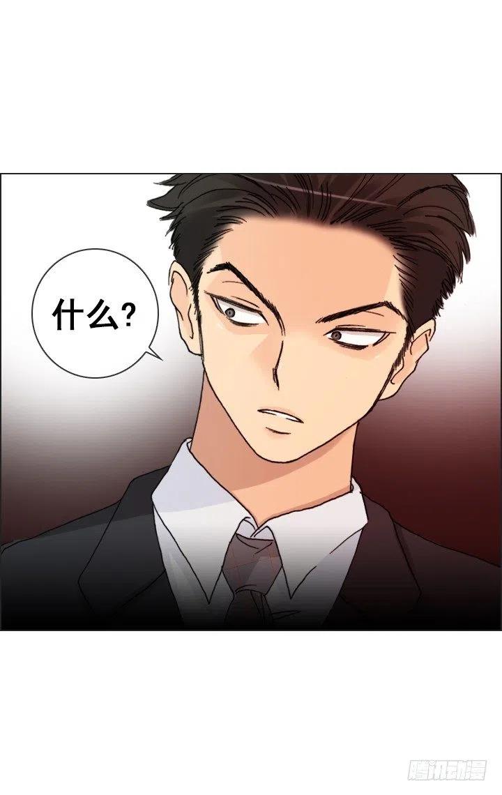 《总裁千金x肥宅》视而不见 第2页