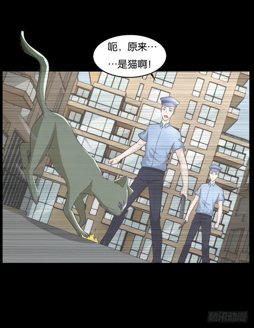 《无极相师》第九十一回 猫奴锦飞 第11页