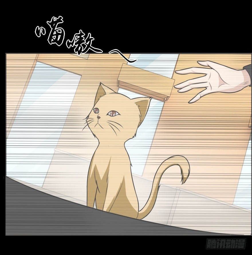 《无极相师》第九十一回 猫奴锦飞 第13页