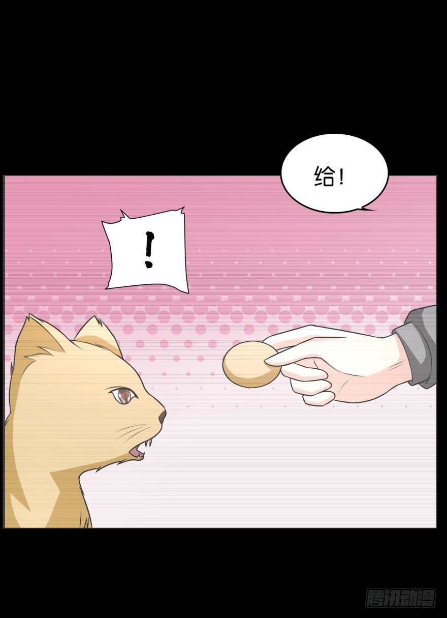 《无极相师》第九十一回 猫奴锦飞 第16页