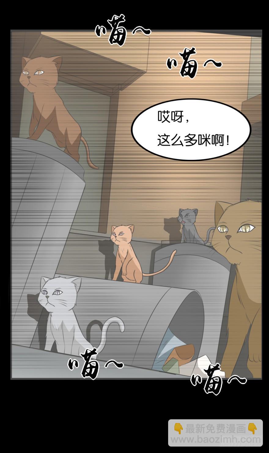 《无极相师》第九十一回 猫奴锦飞 第20页