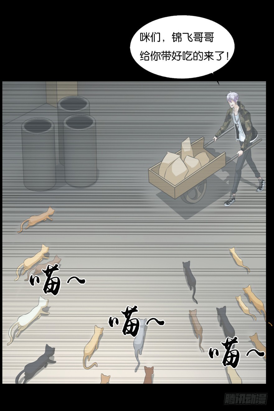 《无极相师》第九十一回 猫奴锦飞 第23页