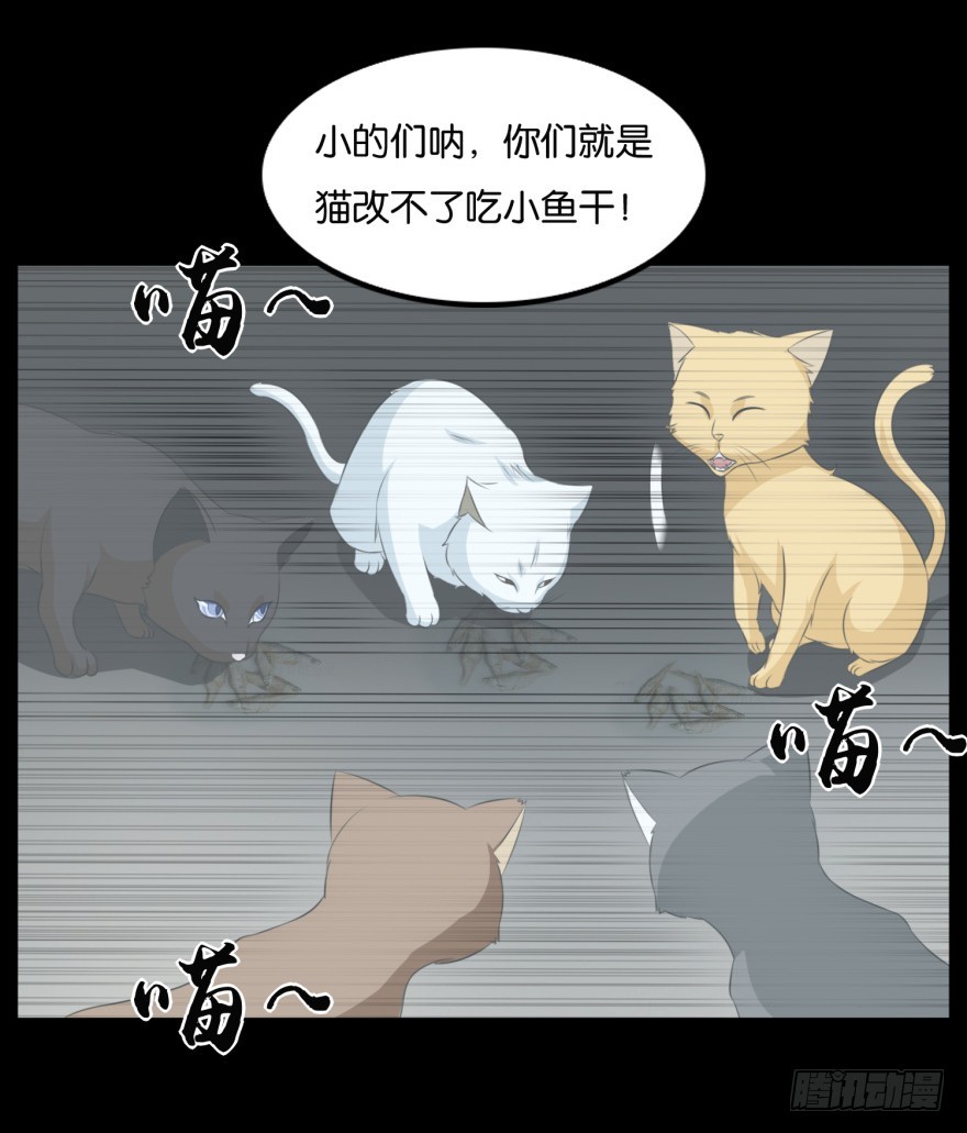 《无极相师》第九十一回 猫奴锦飞 第24页