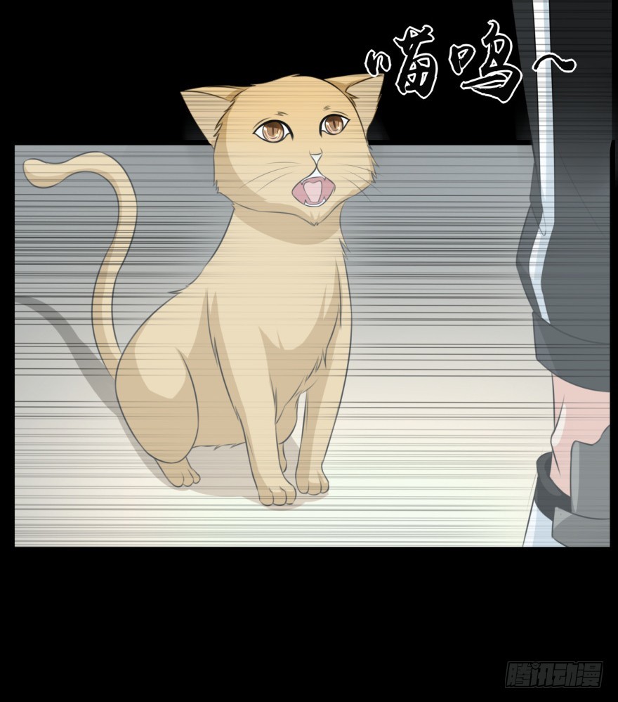 《无极相师》第九十一回 猫奴锦飞 第26页
