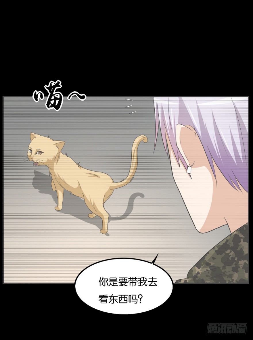 《无极相师》第九十一回 猫奴锦飞 第28页