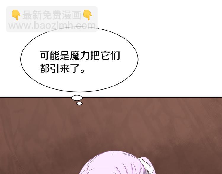 《公爵，请让我治愈你》第29话 受伤 第5页