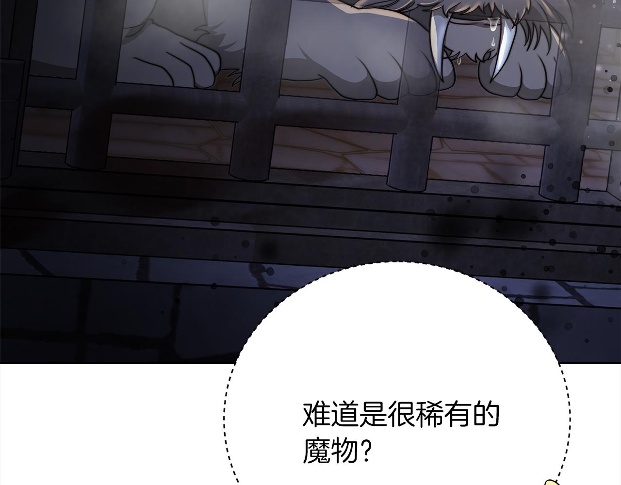 《皇女不想开挂了》第72话惊人的秘密 第38页