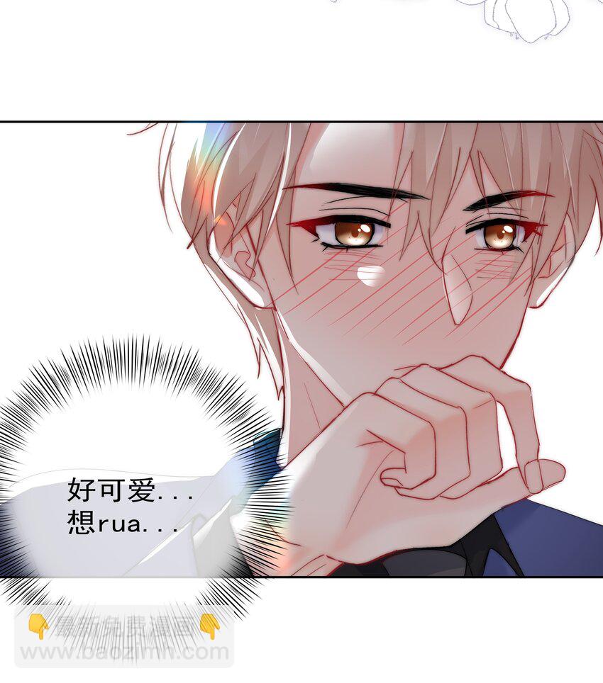 《boss大人是女神》047 好萌！想rua！ 第35页