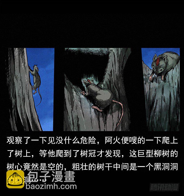 《仙山传奇》树妖 第27页