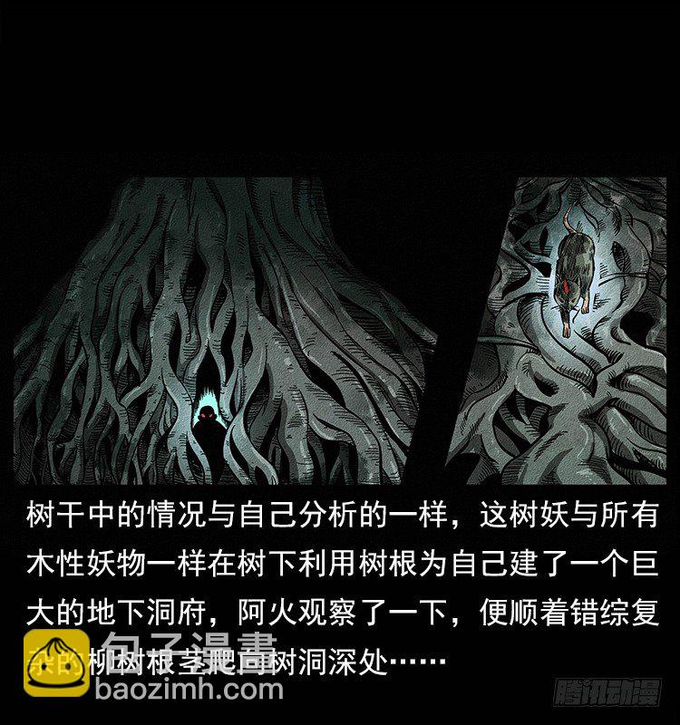 《仙山传奇》树妖 第29页