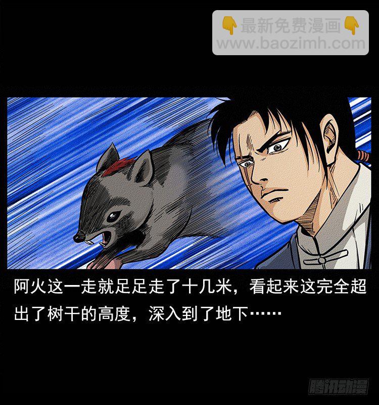 《仙山传奇》树妖 第30页