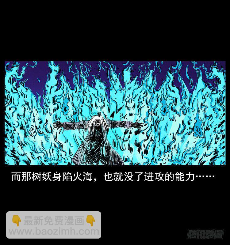 《仙山传奇》大阵除妖 第34页