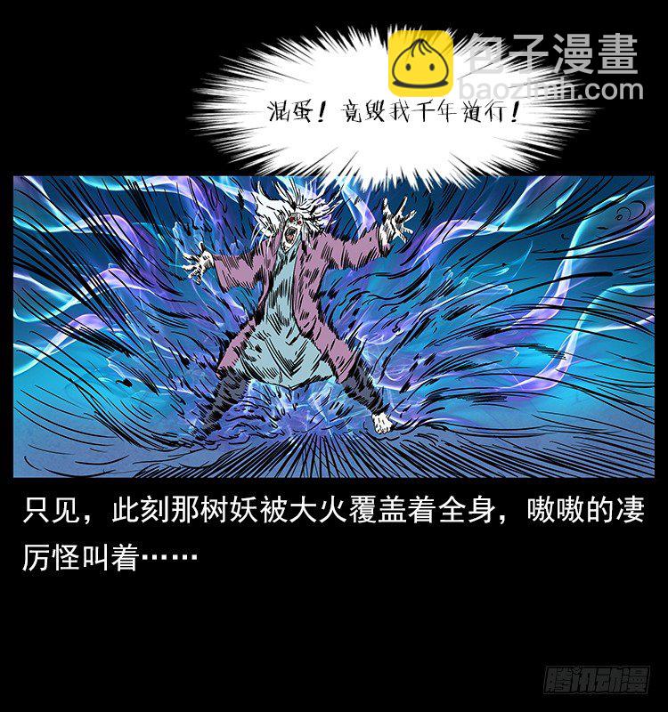 《仙山传奇》大阵除妖 第44页