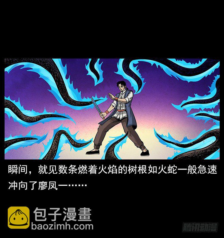 《仙山传奇》大阵除妖 第46页