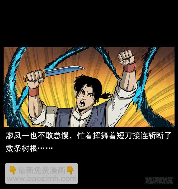 《仙山传奇》大阵除妖 第47页