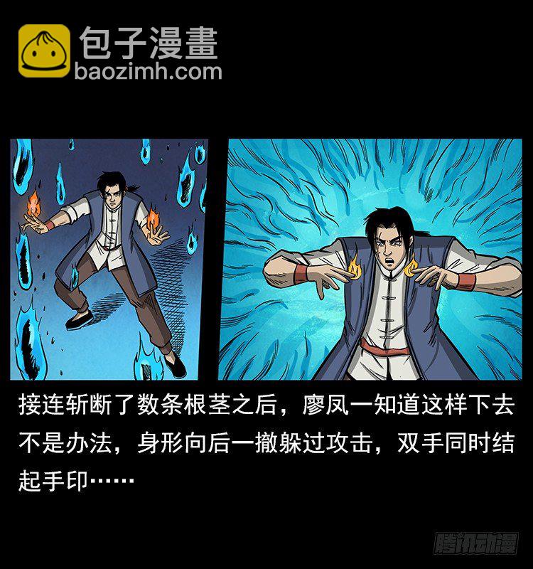 《仙山传奇》大阵除妖 第49页