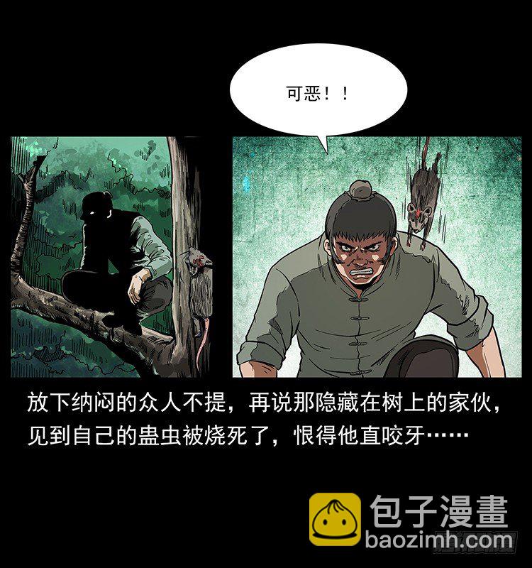 《仙山传奇》蛊虫 第28页