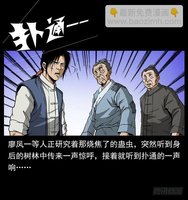 《仙山传奇》蛊虫 第33页