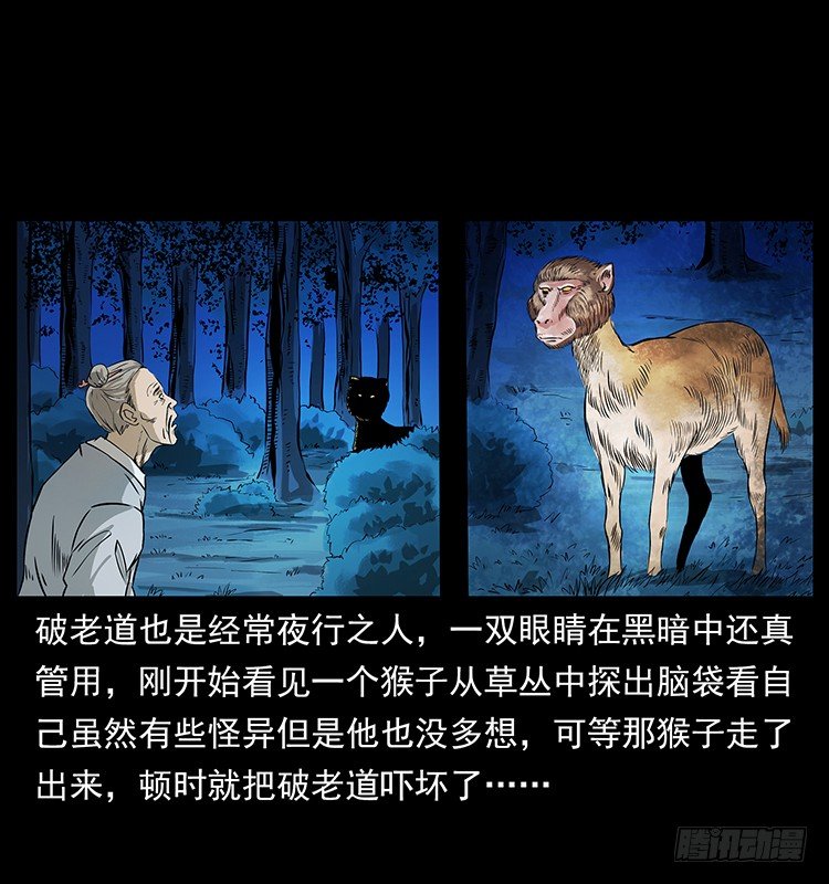 《仙山传奇》神医 第20页