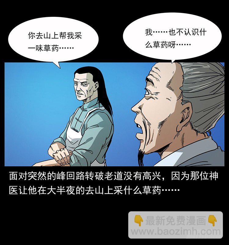 《仙山传奇》神医 第41页