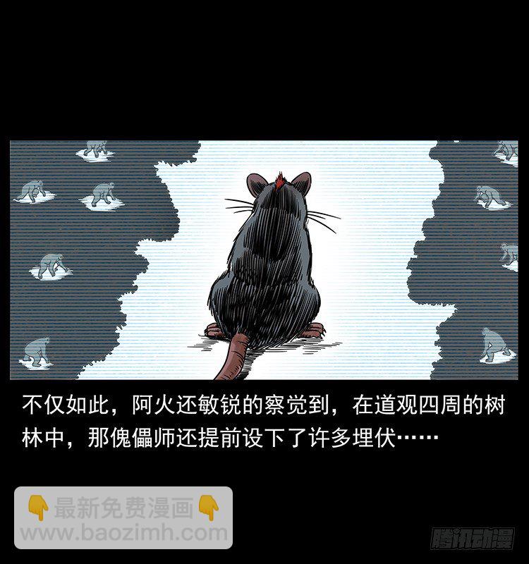 《仙山传奇》傀儡 第10页