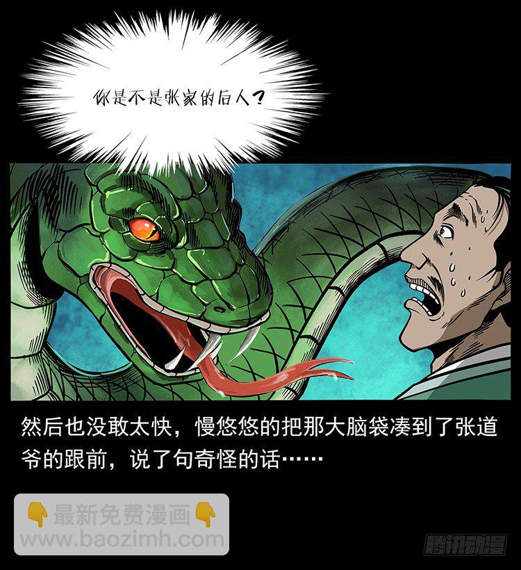 《仙山传奇》张宅诡影 第19页