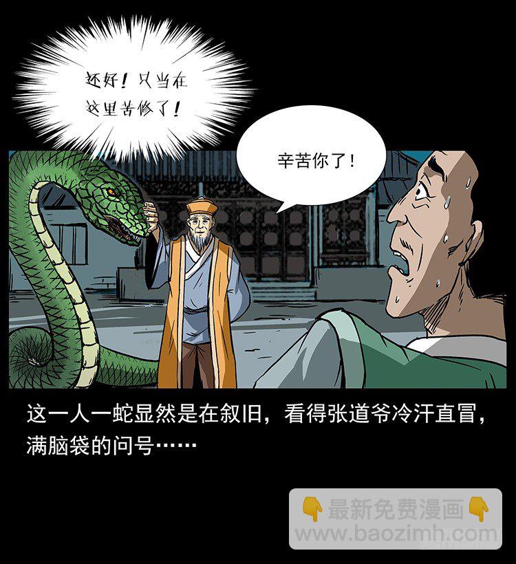 《仙山传奇》张宅诡影 第41页