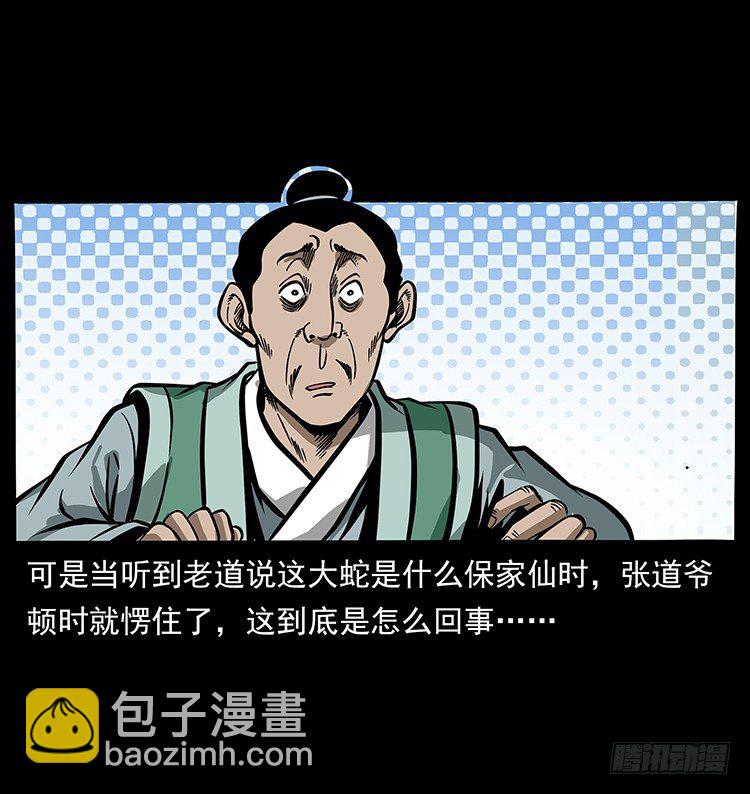 《仙山传奇》张宅诡影 第46页