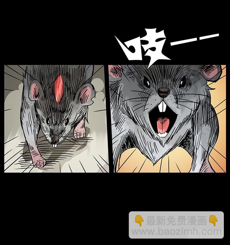 《仙山传奇》出马阿火 第41页