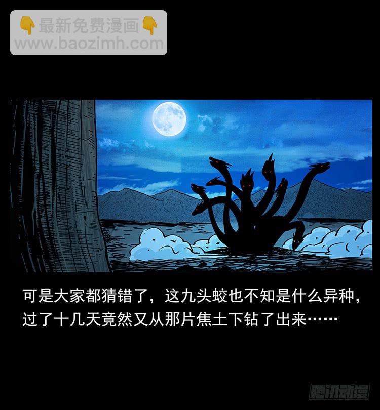 《仙山传奇》沼泽巨兽 第31页