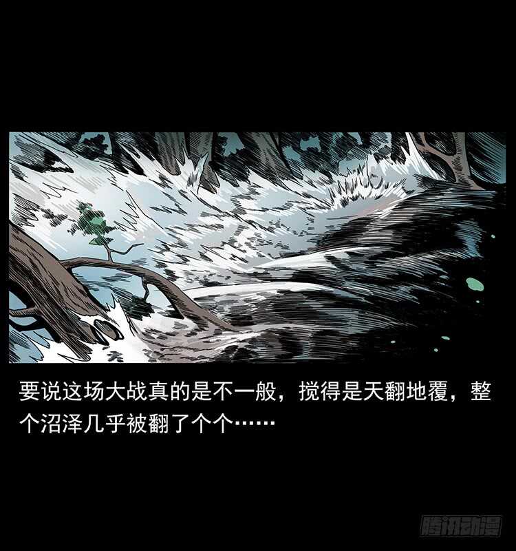 《仙山传奇》九头蛟的身世 第47页