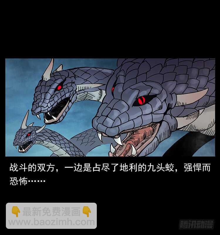 《仙山传奇》九头蛟的身世 第49页