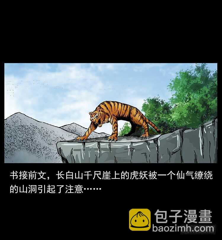 《仙山传奇》虎妖 第2页
