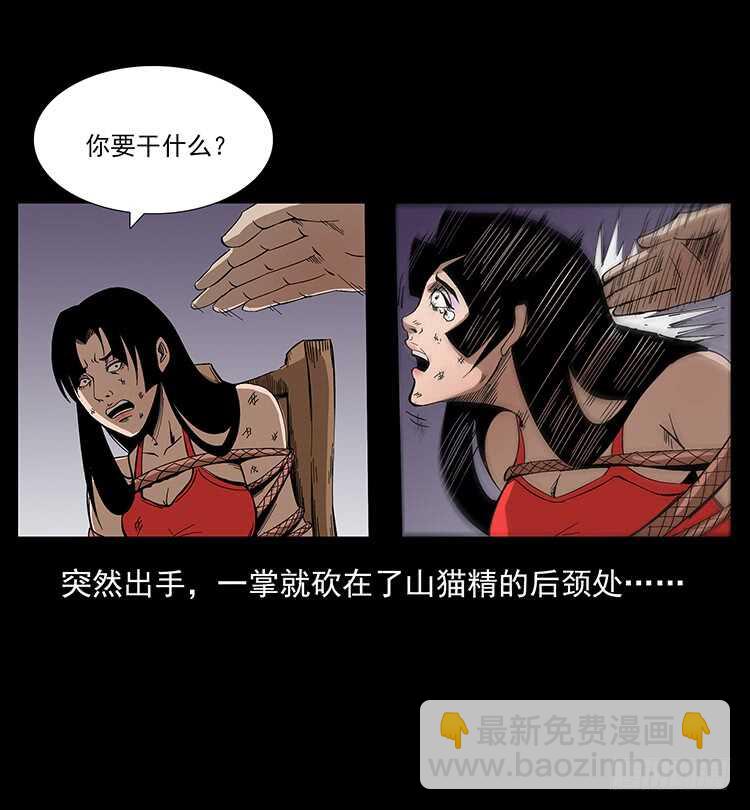 《仙山传奇》虎妖 第30页
