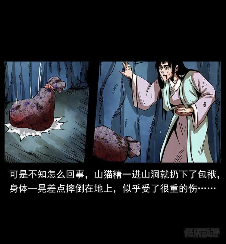 《仙山传奇》虎妖 第39页