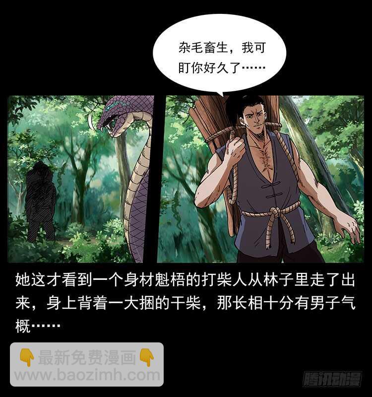 《仙山传奇》妖女柳叶儿 第22页