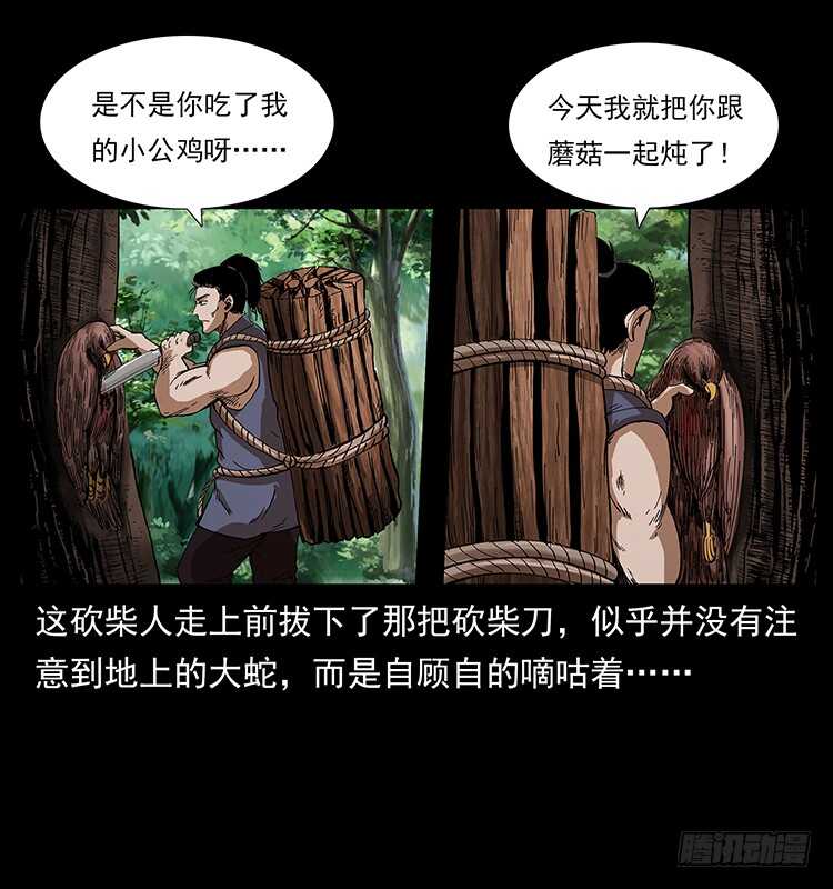 《仙山传奇》妖女柳叶儿 第23页