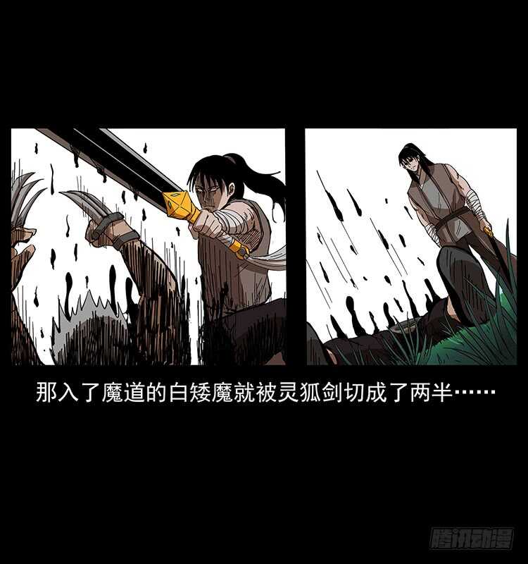 《仙山传奇》战白妖 第49页