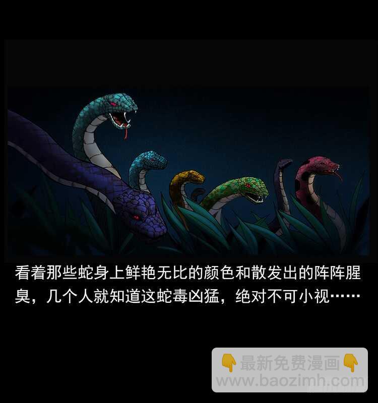 《仙山传奇》蛇蝎之女 第21页