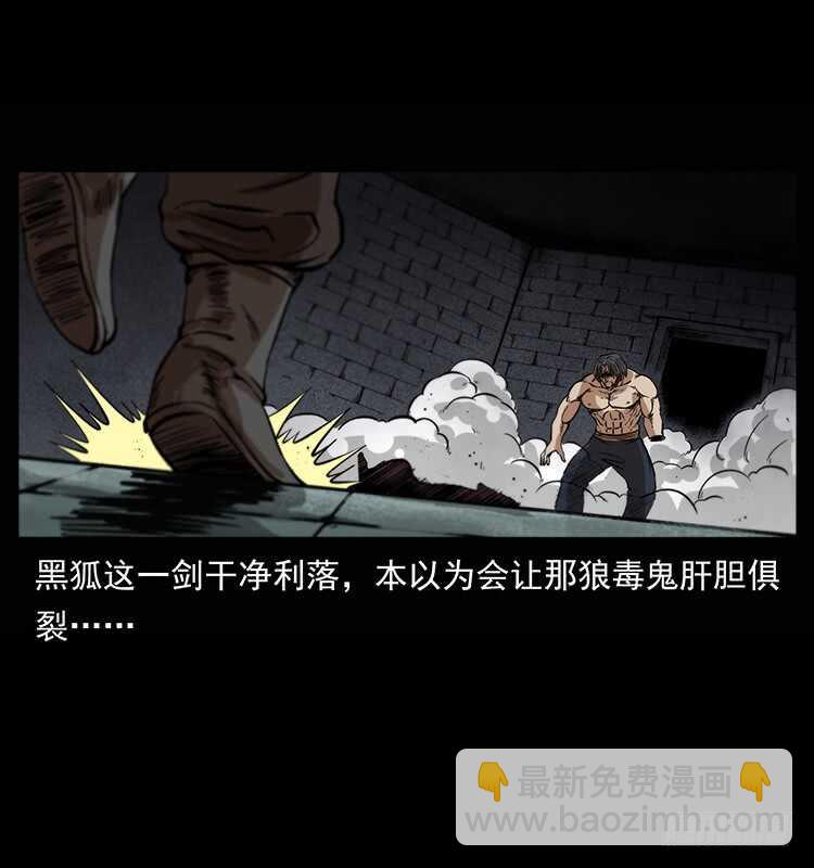 《仙山传奇》爆发的黑狐 第16页