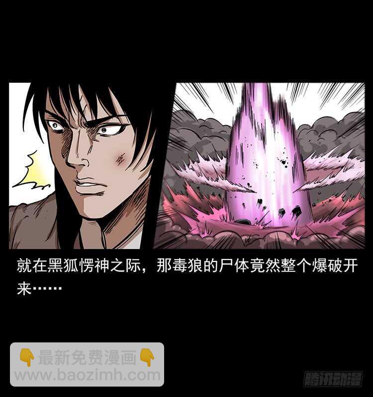 《仙山传奇》爆发的黑狐 第19页
