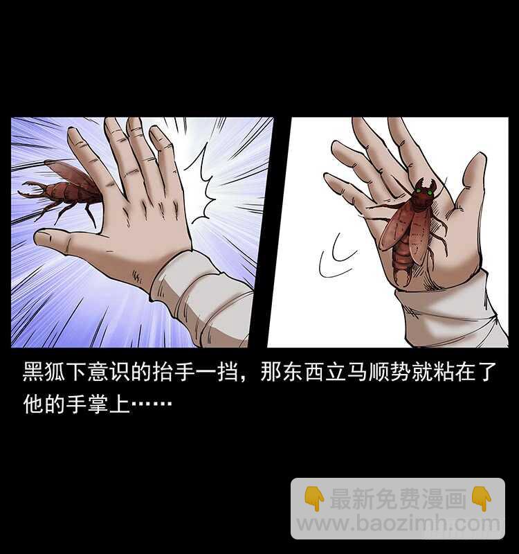 《仙山传奇》爆发的黑狐 第27页
