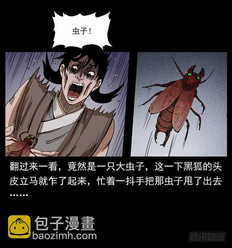 《仙山传奇》爆发的黑狐 第28页