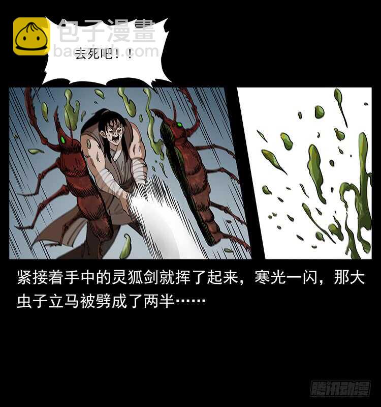 《仙山传奇》爆发的黑狐 第29页