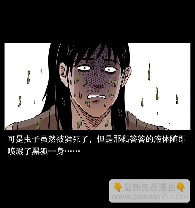 《仙山传奇》爆发的黑狐 第30页
