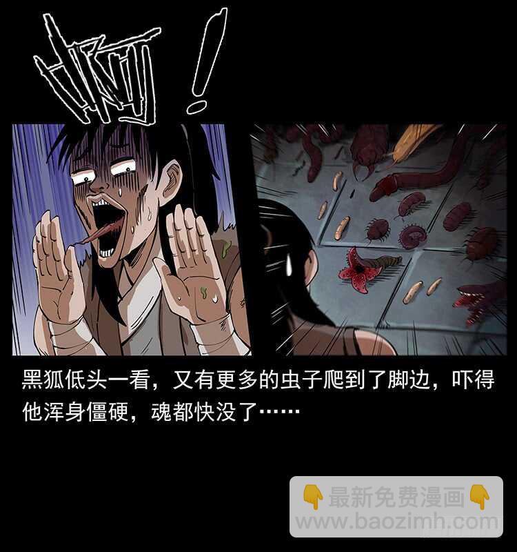 《仙山传奇》爆发的黑狐 第33页