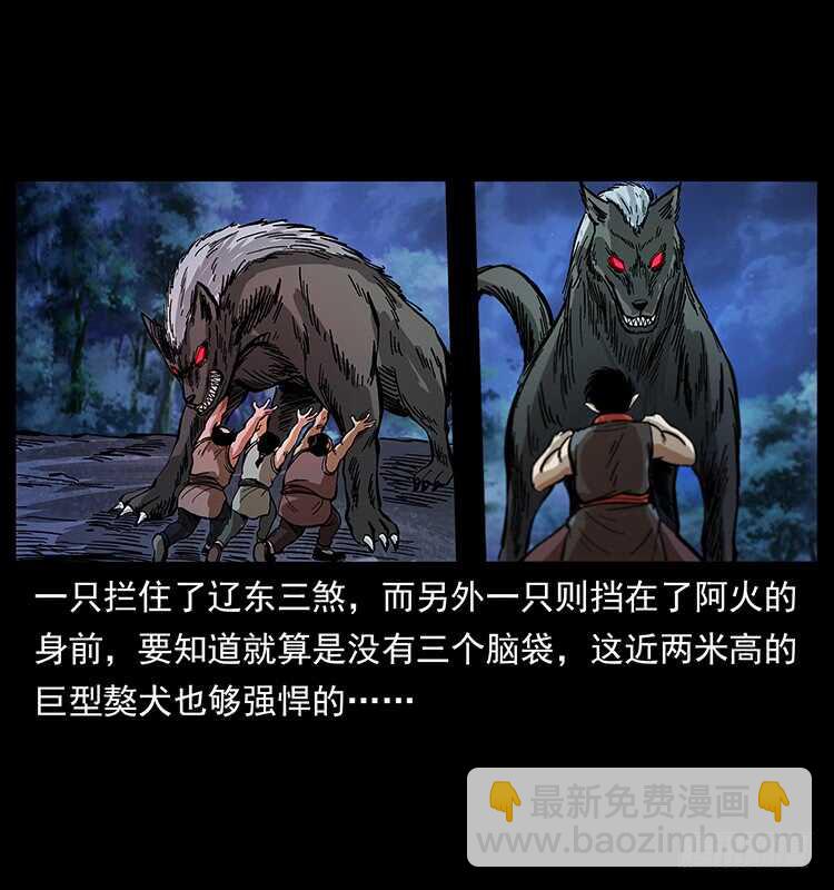 《仙山传奇》杀出的救兵 第49页