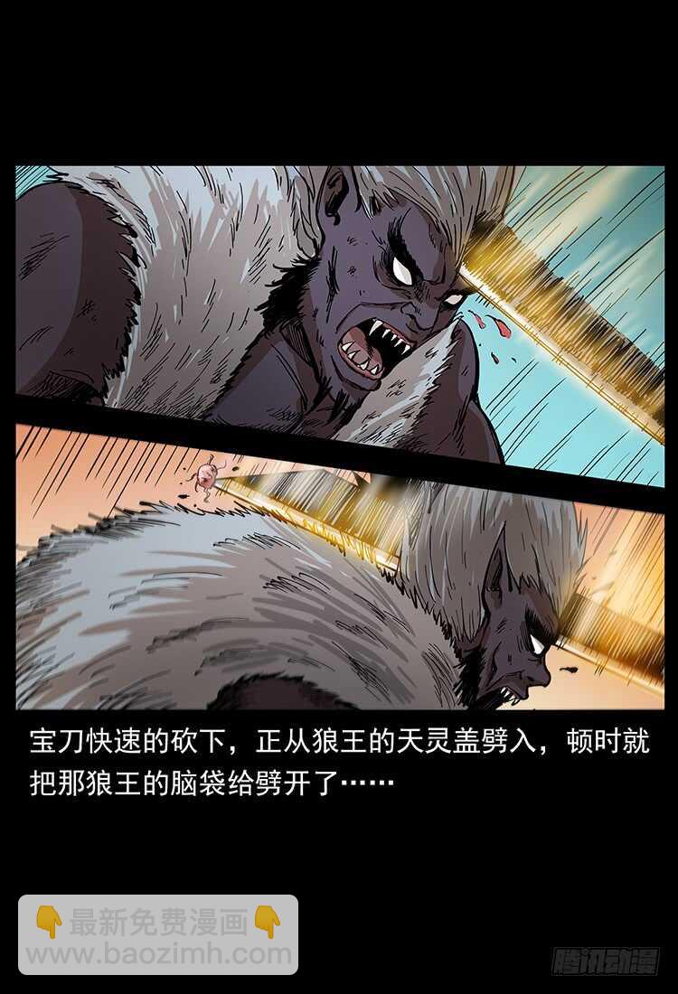 《仙山传奇》战局逆转 第45页