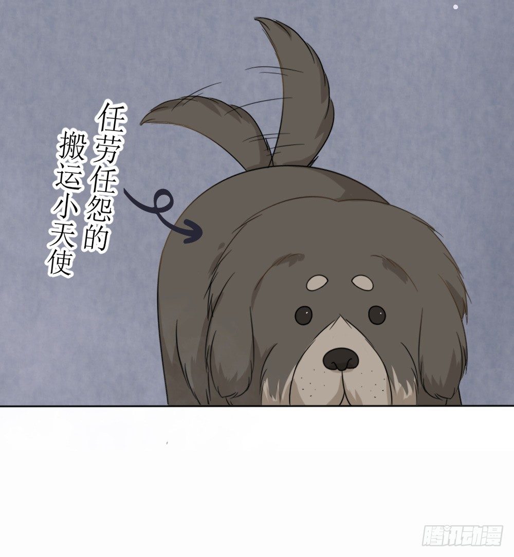 《霸总萌妻你好，苏大王！》第16话 越狱失败，被狗活逮 第17页