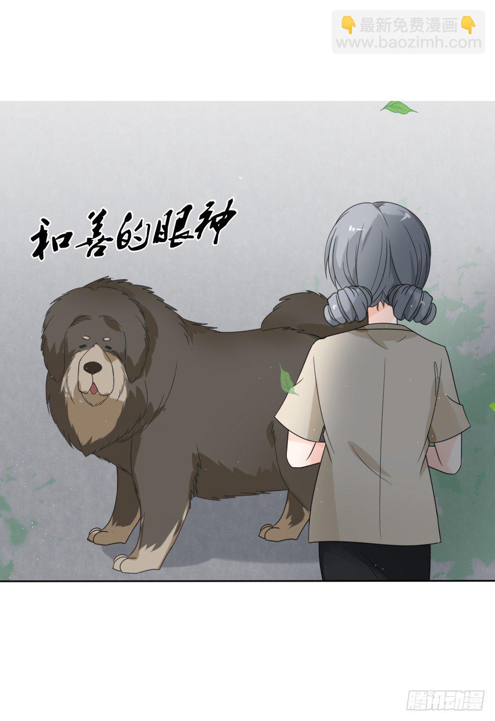《霸总萌妻你好，苏大王！》第15话 被狗毁掉的美好生活！ 第15页